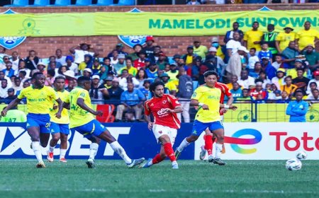 "الحفاظ على نظافة الشباك".. الأهلي يسجل العديد من الأرقام القياسية بعد التعادل مع صن داونز