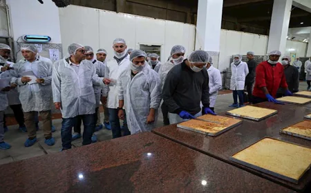 حدث في منتصف الليل| موعد افتتاح حديقة الحيوان بالجيزة.. والأرصاد تحذر من منخفض خماسيني