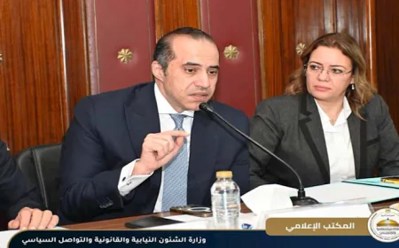 محمود فوزي : ملف الطاقة من الملفات المرتبطة بالأمن القومي بشكل مباشر