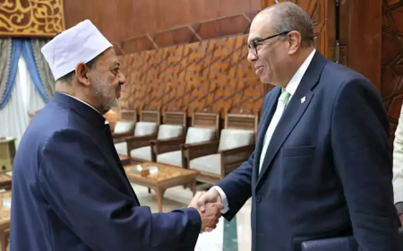 شيخ الأزهر لمبعوث "الأمم المتحدة للتنمية": العالم اليوم لا يمكن وصفه بالمتحضر