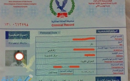 استخراج الفيش والتشبيه أون لاين 2025.. الخطوات والشروط. 