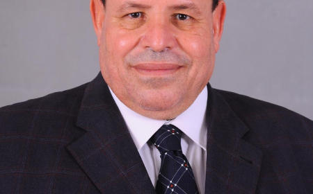 مصر تتجه نحو استخدام النفايات لتوليد الكهرباء. الحل المستدام للطاقة.