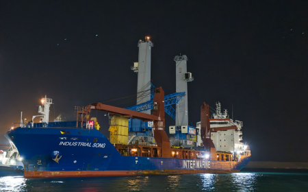 "دي بي ورلد مصر" تستقبل أحدث الرافعات العملاقة لتعزيز مكانة مصر كمركز لوجستي إقليمي رافعتان بقدرة رفع تصل إلى 125 طناً وبذراع يبلغ 54 متراً، تعززان قدرات ميناء دي بي ورلد مصر بالسخنة