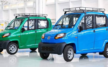 كيوت وصلت مصر