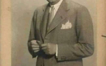 الفنان سليمان نجيب